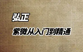 弘正紫微斗数初中级 紫微从入门到精通 视频22集 百度网盘分享