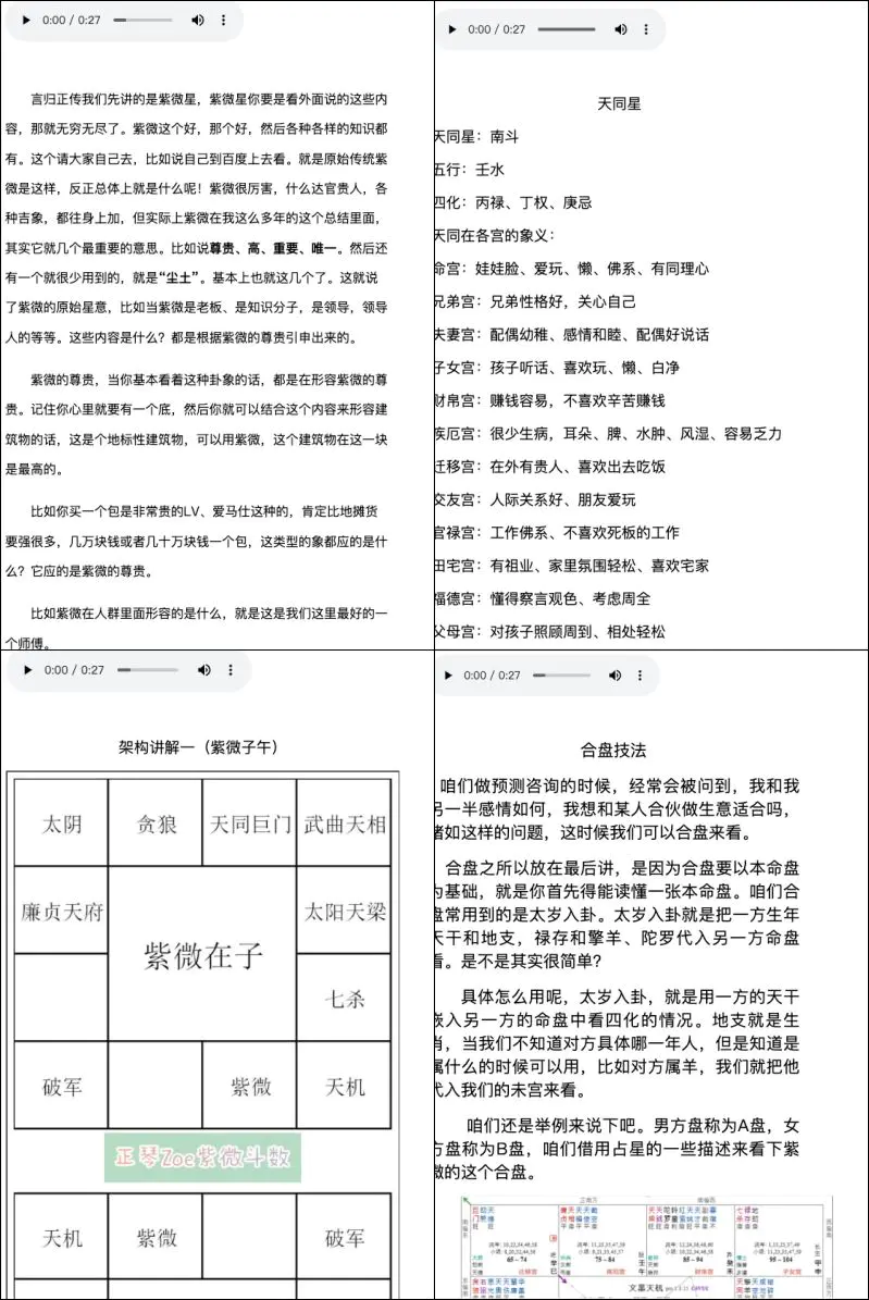 正琴Zoe紫微斗数 全阶图文教程  录音+视频+图文网页 百度网盘分享