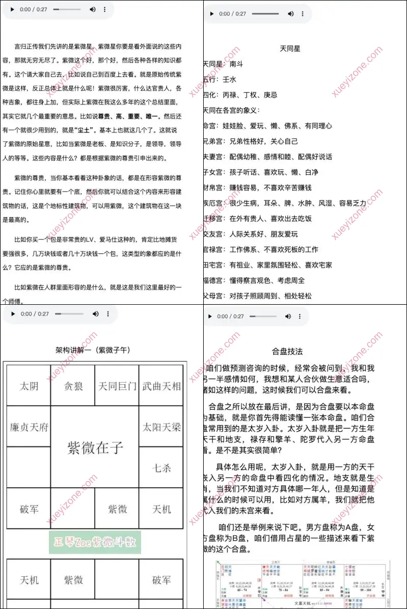 正琴Zoe紫微斗数