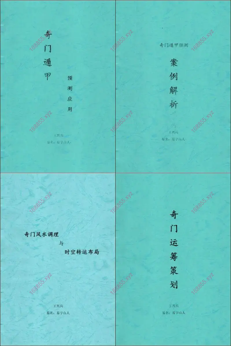 王兴兵 奇门遁甲书籍