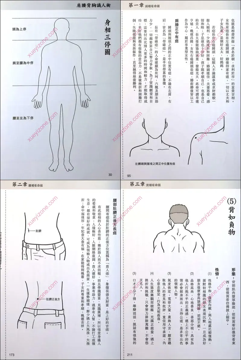 肩腰背胸识人术