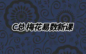 c总梅花易数新课 视频77集 百度网盘分享