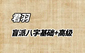 君羽老师 盲派八字基础+高级班 视频60集 百度网盘分享