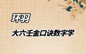 环羽老师 大六壬金口诀数字学  视频77集+录音2集