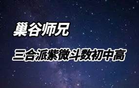 巢谷师兄 三合派紫微斗数 初级+中级+高级线上课程合集 视频86集