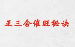 杨家成 宇光真师 正三合催旺秘诀 PDF版 350页 百度网盘分享