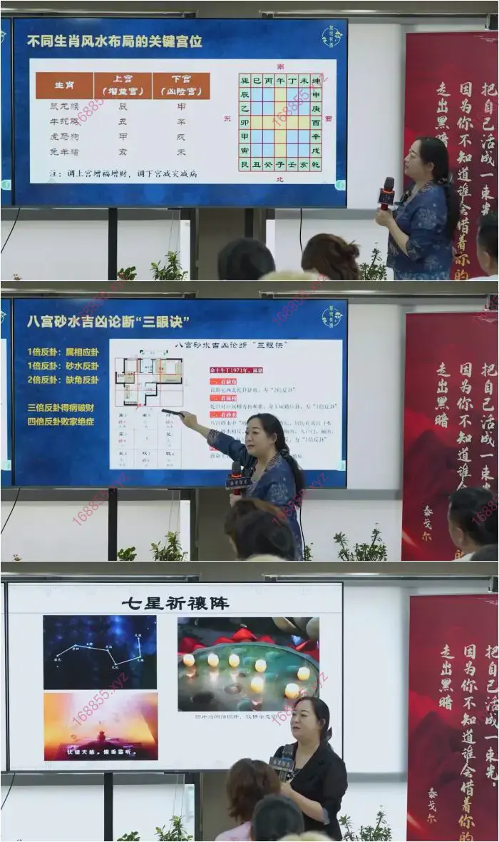 国学环境规划实战高阶课