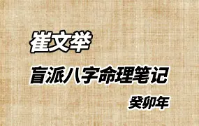 崔老师崔文举 盲派八字命理笔记 (5000元)PDF 297页