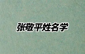 张敬平姓名学 视频27集 百度网盘分享