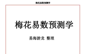 易海游龙整理 梅花易数预测学 PDF 102页 百度网盘分享