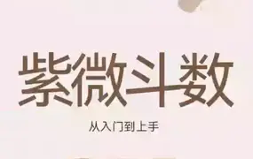 武斌紫微斗数入门到上手 视频23集 百度网盘分享