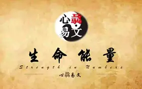 心骉老师 数字易经 生命能量 视频32集+录音25集 百度网盘分享