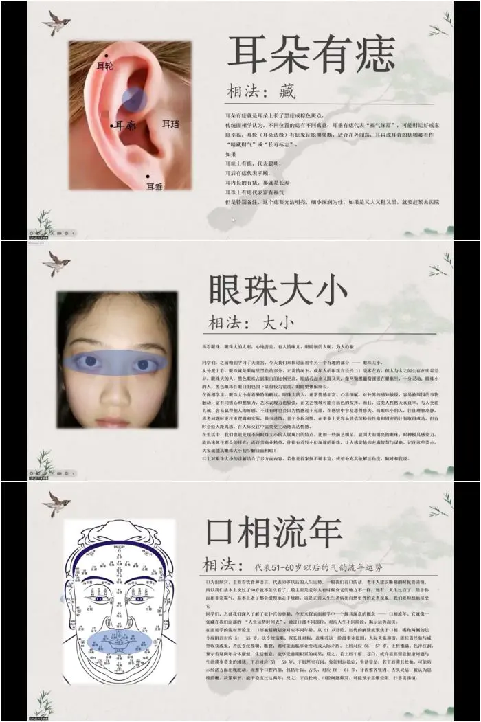 白礼老师 白礼说相 国学面相识人速成班 视频10集 百度网盘分享