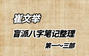 崔老师（崔文举） 盲派八字笔记整理 （一二三部）PDF 共569页