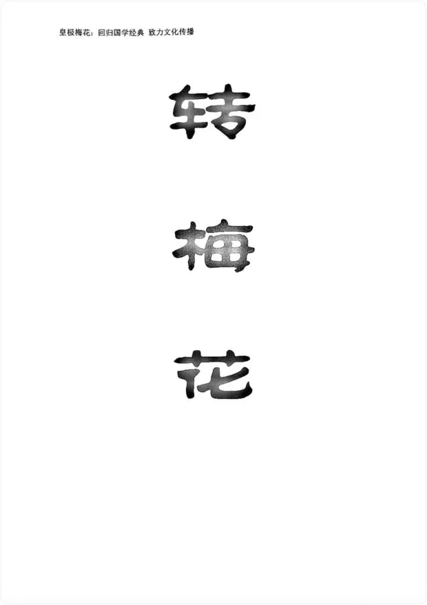 陈春林 转梅花 PDF 75页 百度网盘分享