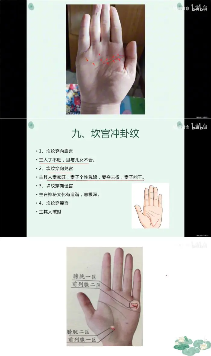 知相知命 零基础学手相 + 手相进阶 视频共221集 百度网盘分享