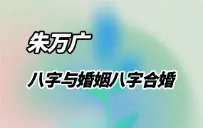朱万广 八字与婚姻八字合婚 视频9集 百度网盘分享