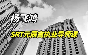 杨飞鸿 SRT元辰宫 执业导师课程 视频6集+课件