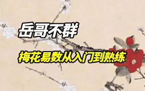 岳哥不群 梅花易数从入门到熟练 视频36集+PPT图片 百度网盘分享