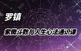 罗镇老师 紫微斗数与人生心法通识课 视频14集 百度网盘分享
