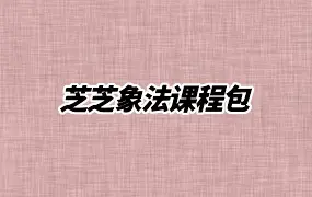 芝芝象法课程包 视频94集(带字幕) 百度网盘分享