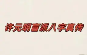 许元明 许氏盲派命理八字实操班 视频25集(带字幕)