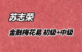 苏志荣老师 金融梅花易 初级班+中级班 视频26集