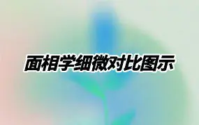 面相学细微对比图示 PDF 286页 百度网盘分享