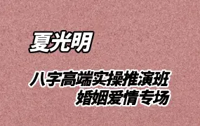 光明师 八字高端实操推演班婚姻爱情专场 视频3集