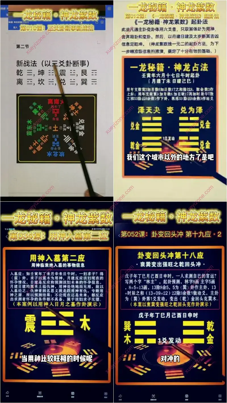 刘一龙周易神龙紫数