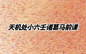 天机处小六壬诸葛马前课 视频9集 百度网盘分享