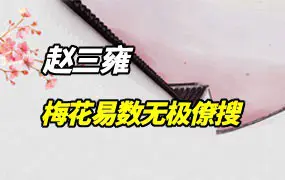 梅花易数 无极僚搜 视频7集