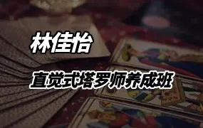 林佳怡 直觉式塔罗师养成班 视频17集 百度网盘分享