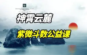 神霄云麓紫微斗数公益课 13集视频 百度网盘分享
