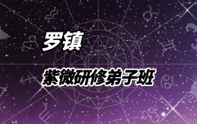 罗镇亲授 紫微研修弟子班 视频44集 百度网盘分享