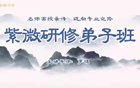 罗镇亲授 紫微研修弟子班 视频44集