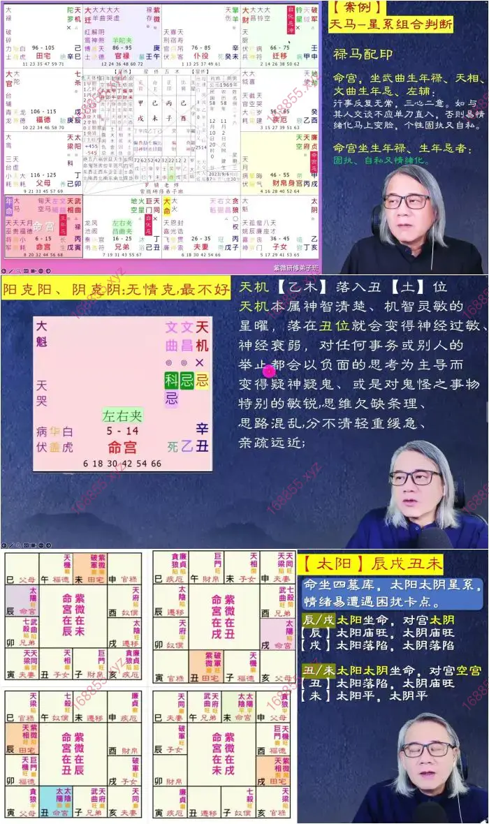 紫微研修弟子班