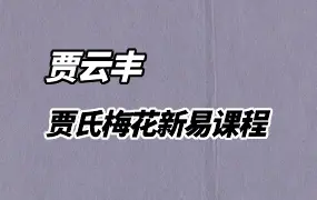 贾云丰 贾氏梅花新易 视频8集 百度网盘分享
