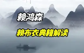 赖鸿森 赖布衣典籍解读 PDF 767页 百度网盘分享