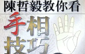 陈哲毅教你看手相技巧 PDF 338页 陈哲毅 陈旅得合著