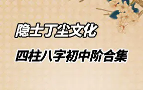 隐士丁尘文化 四柱八字初中阶合集 视频74集(带字幕) 百度网盘分享