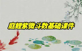 庭鲤紫微斗数基础课 十二宫位 十四主星 六吉六煞 3份PDF课件