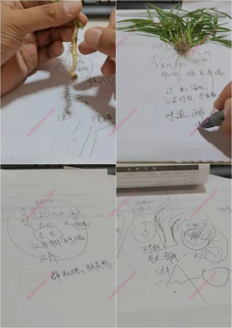 混元地理混元绝技拔草断技法