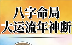 王国亮 八字命局大运流年神断 PDF 342页 百度网盘分享