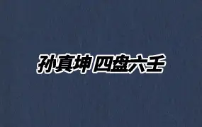 孙真坤四盘六壬 视频31集 百度网盘分享