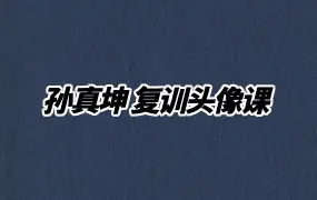 孙真坤复训头像课 视频68集 百度网盘分享