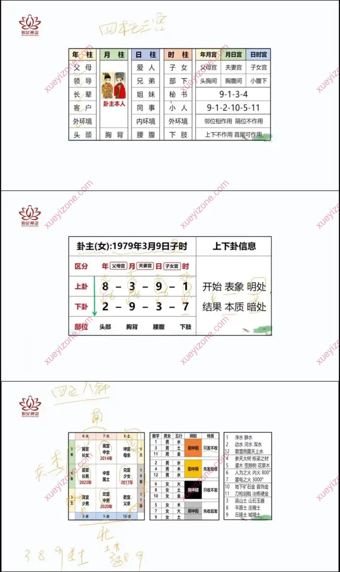 数字八字初级班