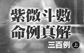 天乙上人 紫微斗数命例真解三百例 上中下三本 PDF 共1225页