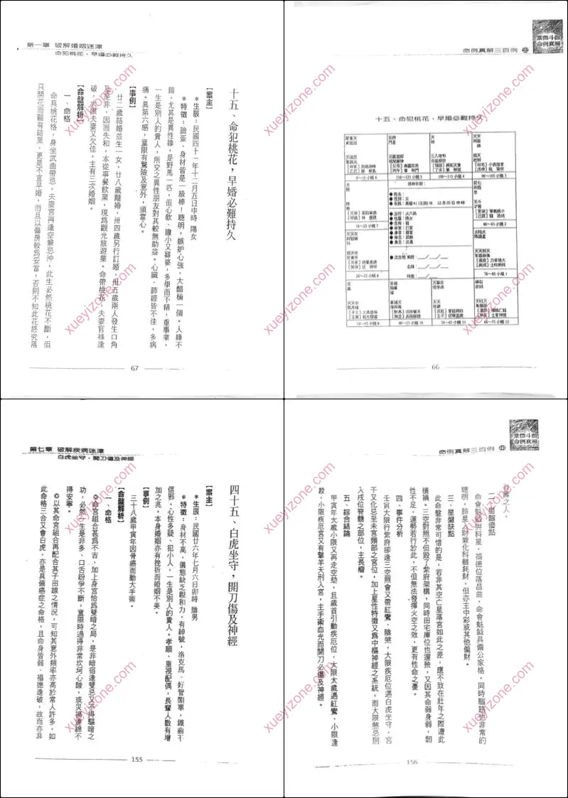 紫微斗数命例真解三百例