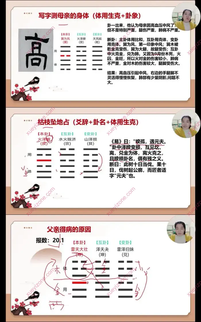 如是禅说梅花易数